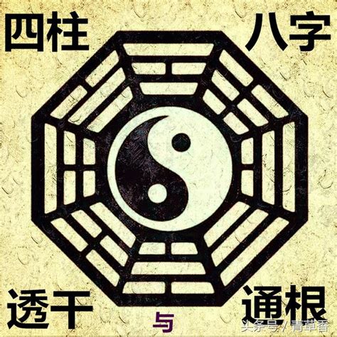 透干通根|八字中什么是透干 (八字的透干与通根全解)